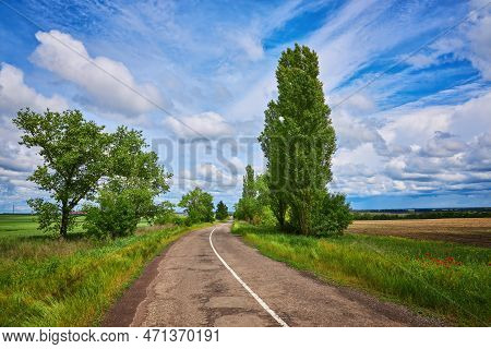 Asphalt Road Panorama In Countryside On Summer Day