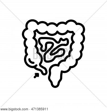 Black Line Icon For Appendix Intestine Anatomy Biliary Digestive-system Gut Gastrointestinal Bowel A