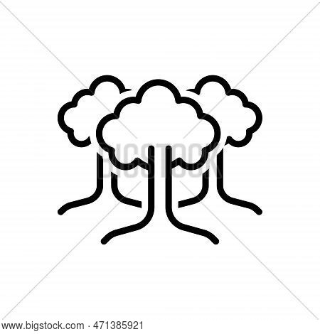 Black Line Icon For Trees Greenstuff Botany Flora Greenery Forest Ecology Nature Wild Garden