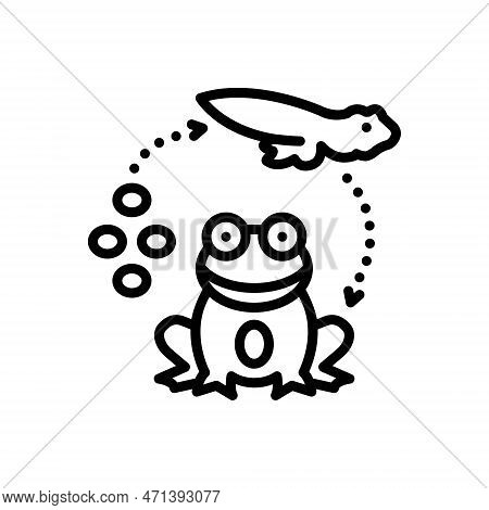 Black Line Icon For Reproduced Beget Tadpole Egg Life-cycle Froglet Transformation Amphibian Process