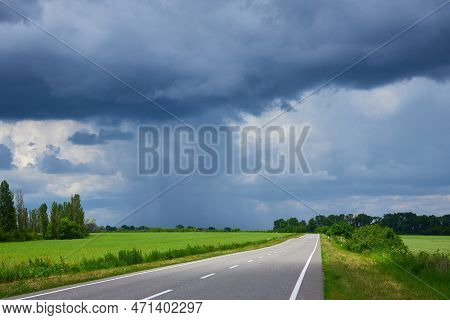 Fields Of Ukraine, Grains Sky, Green Grass