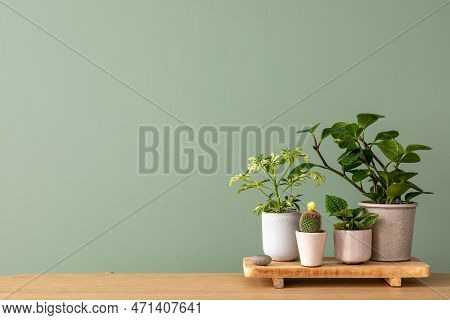 Creative Composition Of Botanic Home Interior Design With Lots Of Plants In Classic Designed Pots An