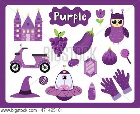 Set Of Purple Color Objects. Primary Colors Flashcard With Purple Elements