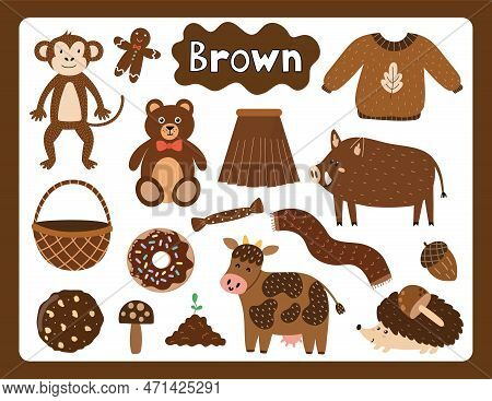 Set Of Brown Color Objects. Primary Colors Flashcard With Brown Elements