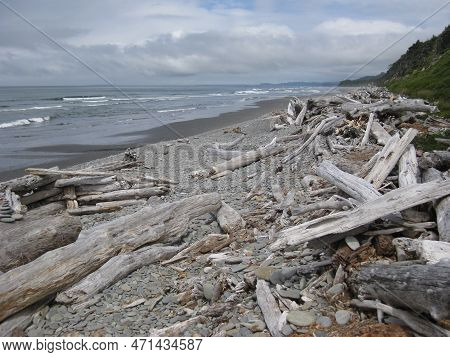 Olympic National Park - Driftwood On Kalaloch Beach