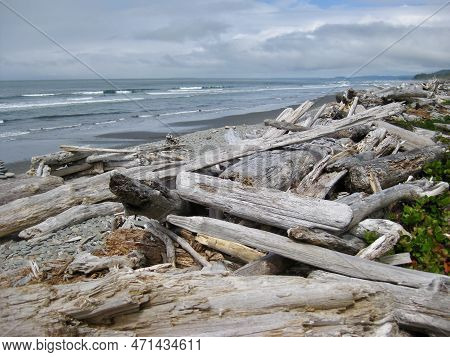 Olympic National Park - Pile Of Driftwood On Kalaloch Beach