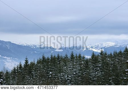 Winter Landscape With Dark Spruse Trees Of Snow Covered Forest In Cold Mountains.