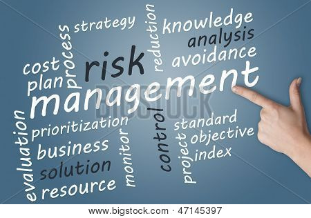 Risk yönetimi