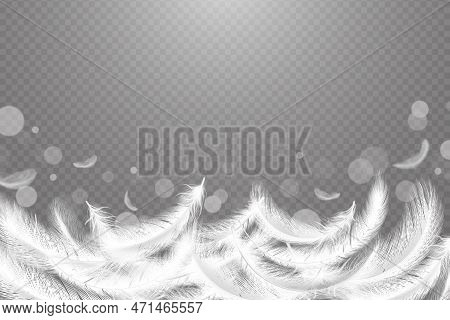 Soft Feather Background, Smooth Fluff. Real Falling Weightless Bird Plumage For Light Pillow Banner,