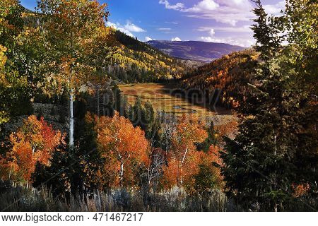 Zedds Meadow Accented By Thousand Lake Mountain In The Background