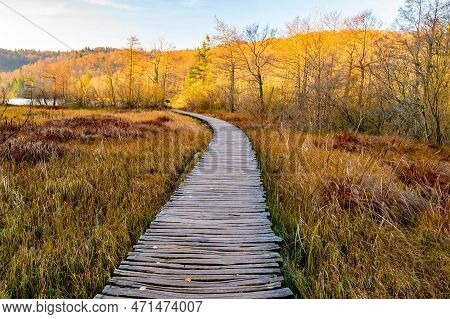 Plitvice Lakes National Park During Colorful Autumn, Croatia, Europe. Fall Colors Leafs On Trees. Wa
