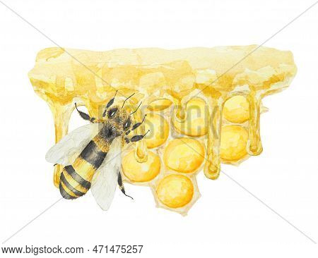 Watercolor Illustration Of Honey And Bee. Hand Drawn And Isolated On White Background. Great For Pri