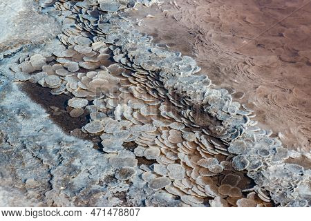 Table Salt In The Form Of Rounded Crystalline Forms In The Hypersaline Kuyalnik Estuary During The D