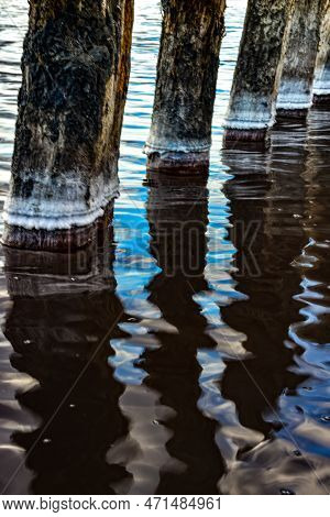 Ancient Wooden Piles In The Kuyalnitsky Estuary, Where Self-sedimentary Salt Was Mined From Salt Che