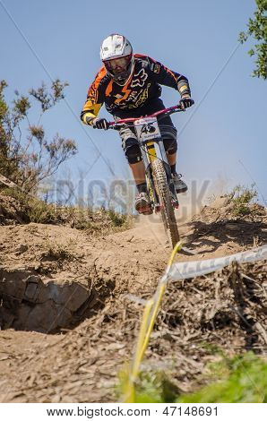 Rui Domingues