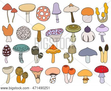 Mushroom Toadstool Isolated Color Set Icon. Vector Illustration Fungus On White Background.color Vec