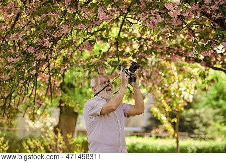 Hobby And Leisure. Experienced Photographer In Spring Garden. Photographer Shooting Nature. Creating
