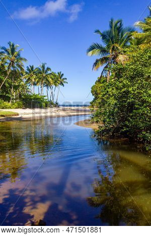 Coconut Trees, Stream And Sand At Sao Jose Beach