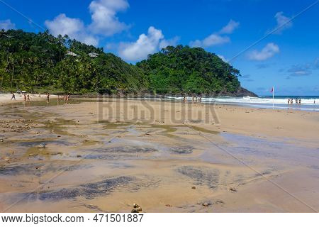 Forest And  Waves At Sao Jose Beach