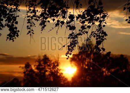 Colorful Red-gold Sunset Against The Background Of Tree Crowns