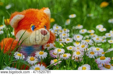 Beautiful Spring Background On The Grass Teddy Bear