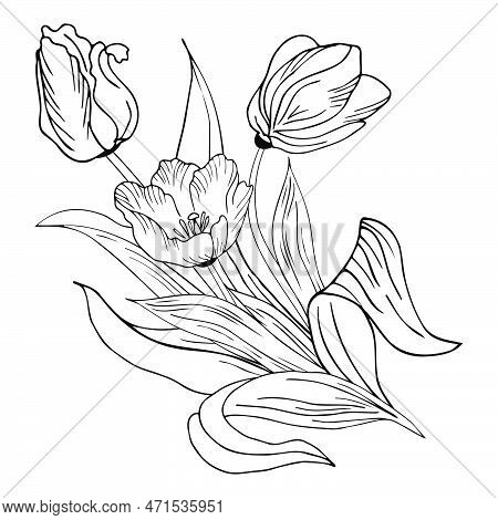 Beautiful Realistic Flowers, Tulips. The Composition Is Drawn By Hand