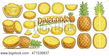 Vector Pineapple Set, Lot Collection Of Cut Out Illustrations Fruit Still Life Composition, Ripe Cho
