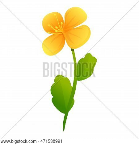 Celandine Garden Flower Icon. Cartoon Of Celandine Garden Flower Icon For Web Design Isolated On Whi