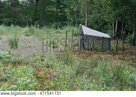 Natural Closeup On A Tent-like Malaise Trap Installed In A Nature Reserve To For Trapping, Killing, 