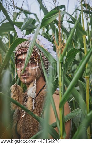 A Man In Traditional Native American Clothing In A Cornfield