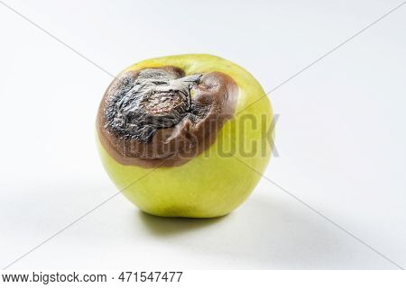 A Rotten Green Apple On White Background. Rot On Fruit, Spoiled Fruit