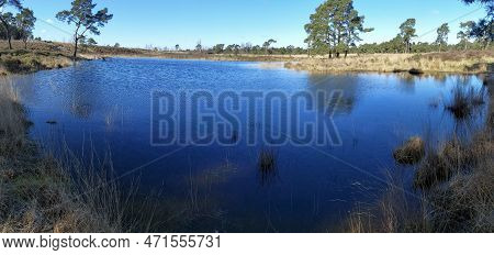 View On Kalmthout Heath Landscape With Water Pool