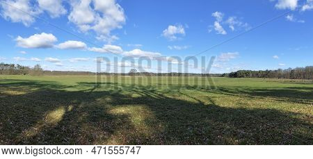Open Grass Field In Kalmthout Heath - De Zoom Nature Reserve