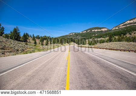 Bighorn National Forrest In Wyoming On Highway 16 With Limber Pine (pinus Flexilis) Growing In The R
