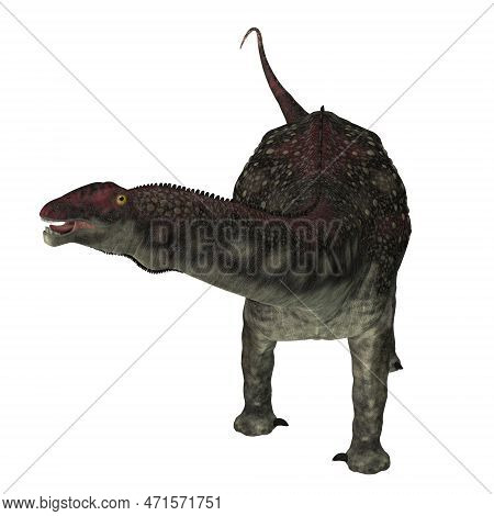 Diamantinasaurus Sauropod Dinosaur 3d Illustration - Diamantinasaurus Was A Herbivorous Sauropod Din