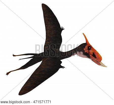 Dsungaripterus Reptile In Flight 3d Illustration - Dsungaripterus Was A Pterosaur Raptor Bird That L