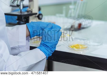 Close Up Scientist Man Hands Look At Glass Petri Dish Use Microscope Research In Science Laboratory.