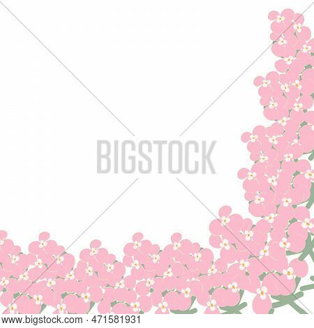 Colorful Abstract Corner Frame Of Flower Elements In Trendy Soft Pink Hues. Copyspase. Lifestyle.