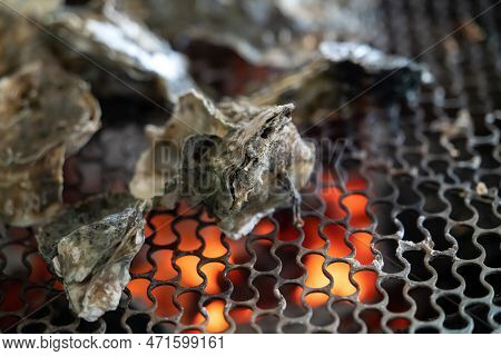 Grilled Fresh Oyster In Taiwan, Famous Street Food.
