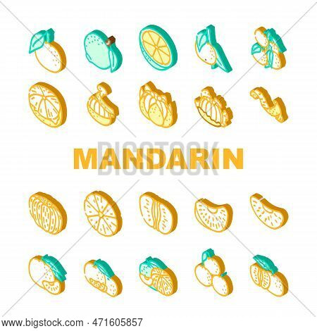 Mandarin Citrus Fruit Icons Set Vector. Orange Food, Tropical Tangerine, Fresh Leaf, Vegetarian Heal