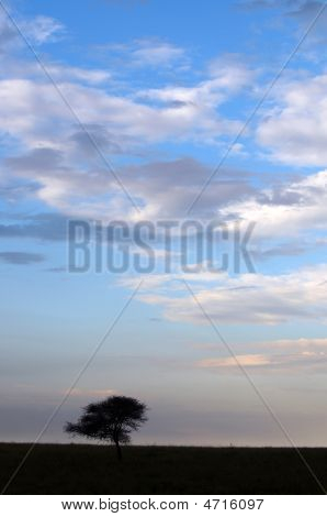 Sonnenuntergang in Afrcian Savannah,