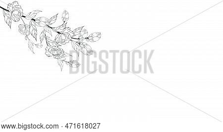 Art & Illustration