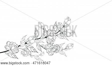 Ground, Floral Composition, Floral Background With Tender Flowers And Branches Of Buds.