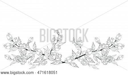 A Beautiful Blooming Branch