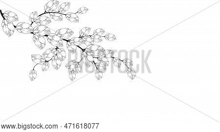 A Beautiful Blooming Branch, Richly Decorated With Flowers, Buds, And Leaves. Hand Drawing.