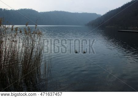 Italy, Trentino Alto Adige: Foreshortening Of Levico Lake.