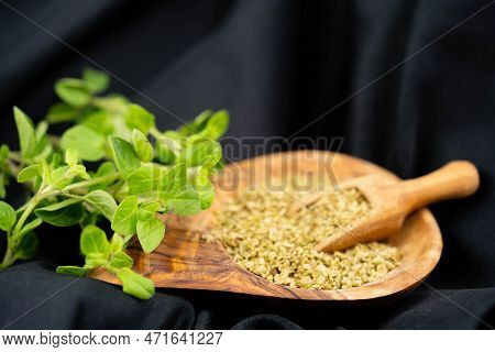 Green Oregano Origanum Vulgar Delicious Kitchen Herbs