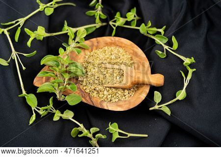 Green Oregano Origanum Vulgar Delicious Kitchen Herbs