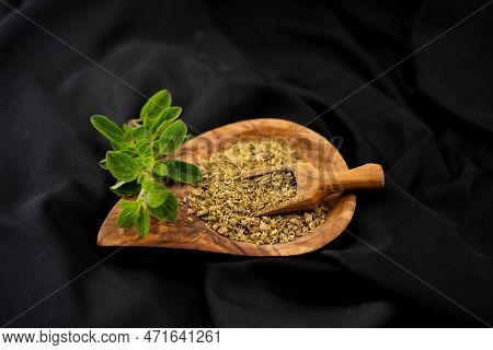 Green Oregano Origanum Vulgar Delicious Kitchen Herbs