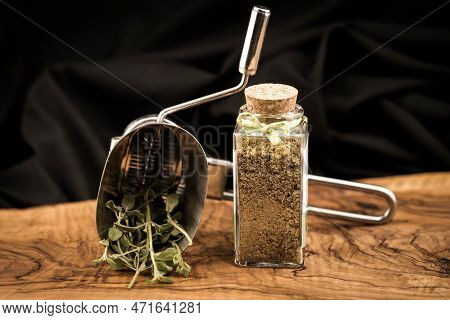 Green Oregano Origanum Vulgar Delicious Kitchen Herbs
